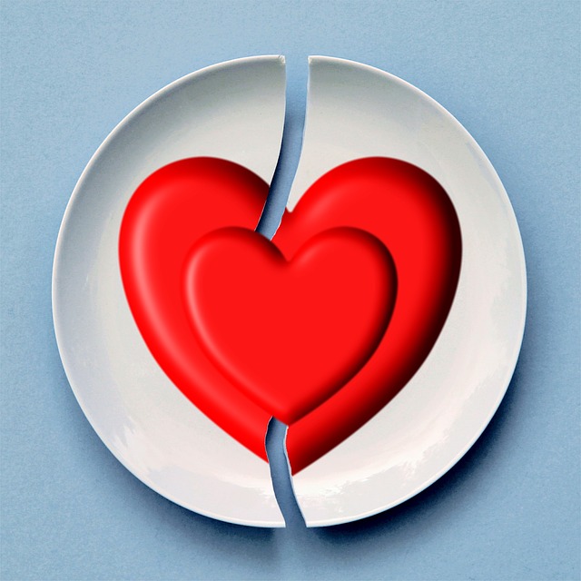 Quando a traiçao nao tem perdao: prato partido ao meio com desenho de coração